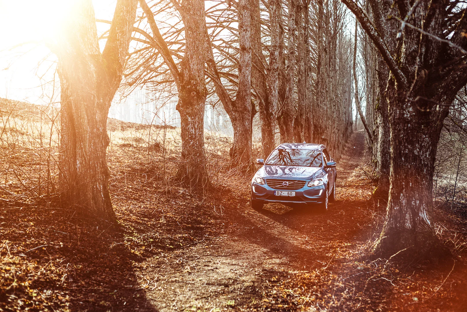 Auto photography by Andrejs Zavadskis - Photo 37