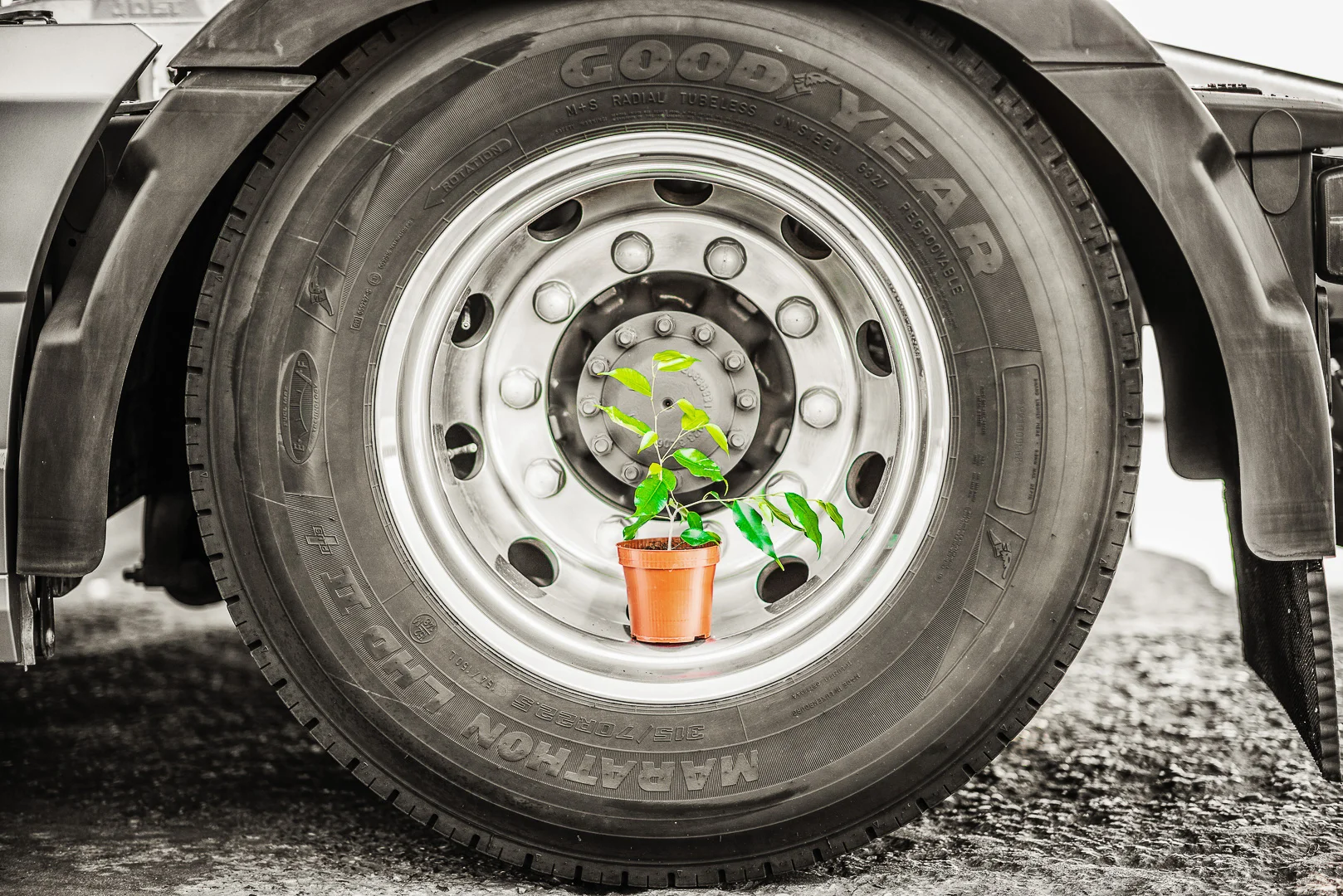 Auto photography by Andrejs Zavadskis - Photo 66