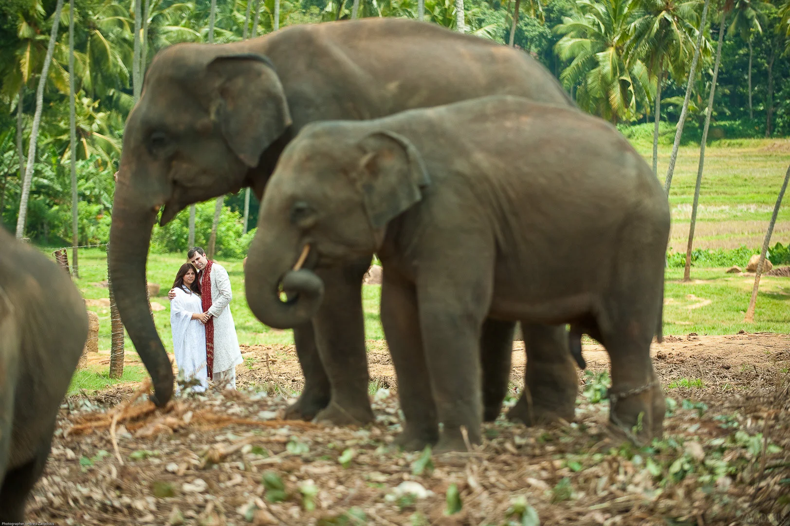 Wedding photography by Andrejs Zavadskis - Photo 46